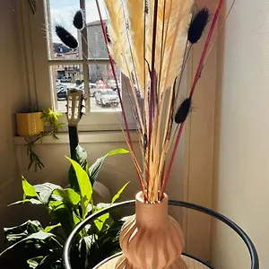 Appartement Anastasia, Villefranche-de-Rouergue