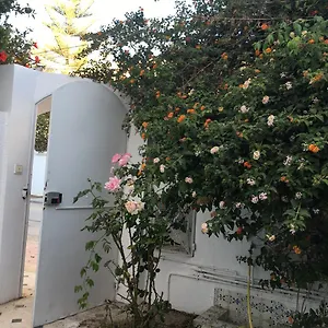 Marsa , La Marsa Tunisie